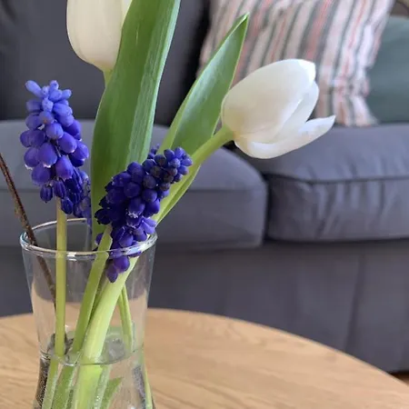 Apartamento Am Park Klutz